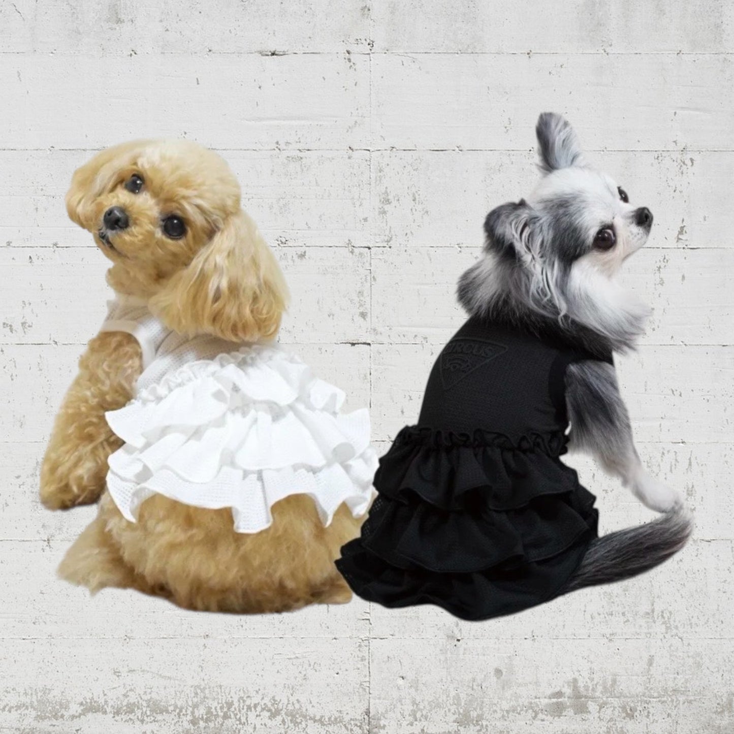 アウトレットセール!!!チェックプリントメッシュフリルワンピ