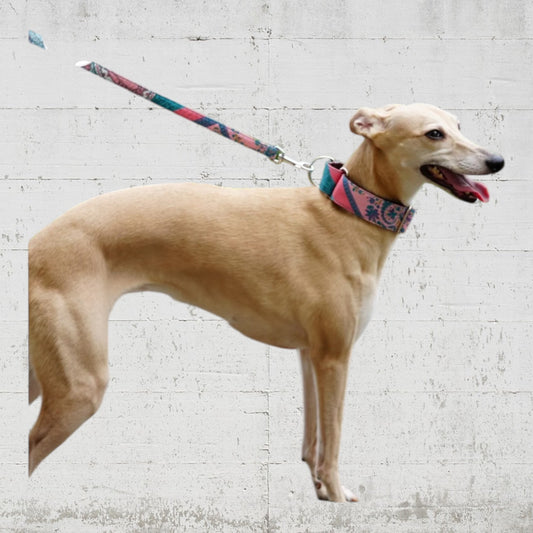 Brottピンクペイズリー マーチンゲールカラー