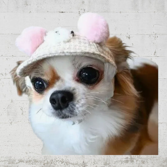 GARDEN OF EDEN もこもこベアCAP