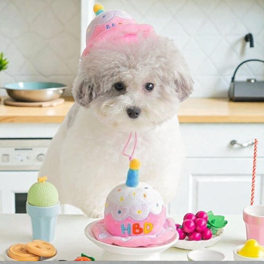 バースディケーキハット