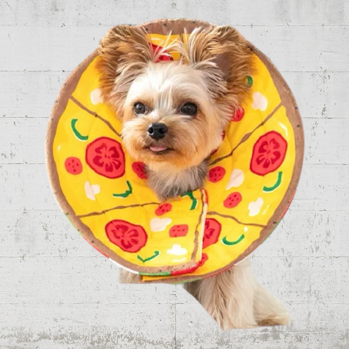 ピザ柄ペリーブカラー