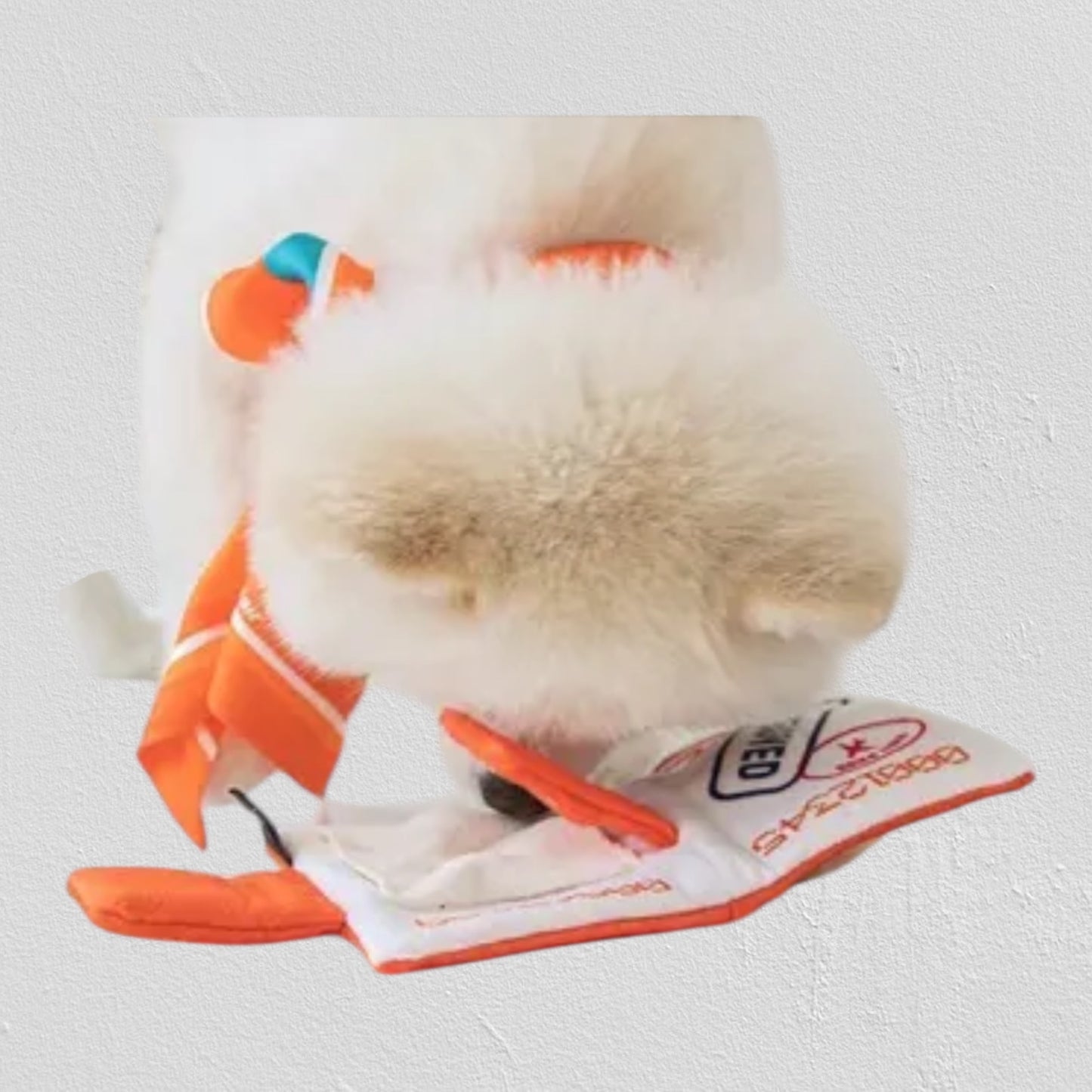 パスポート&チケット