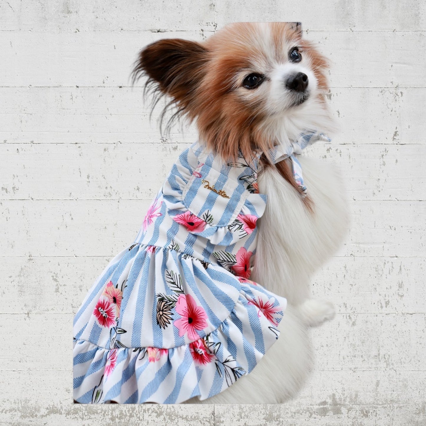 Floral striped dress