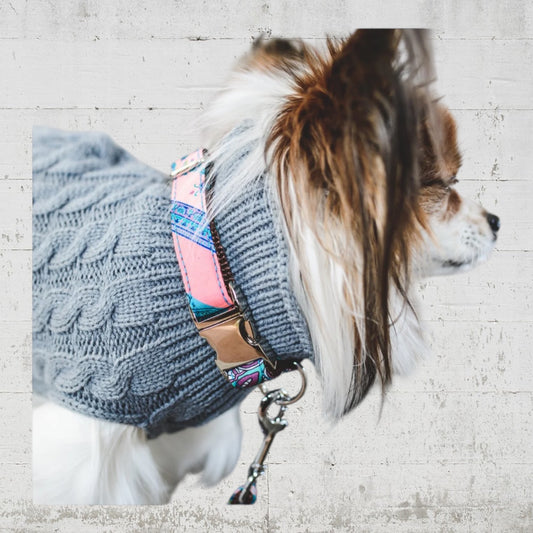 Brott ピンクペイズリー首輪