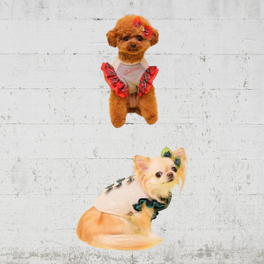 GODPIVAあったかテラボアチェックタンク