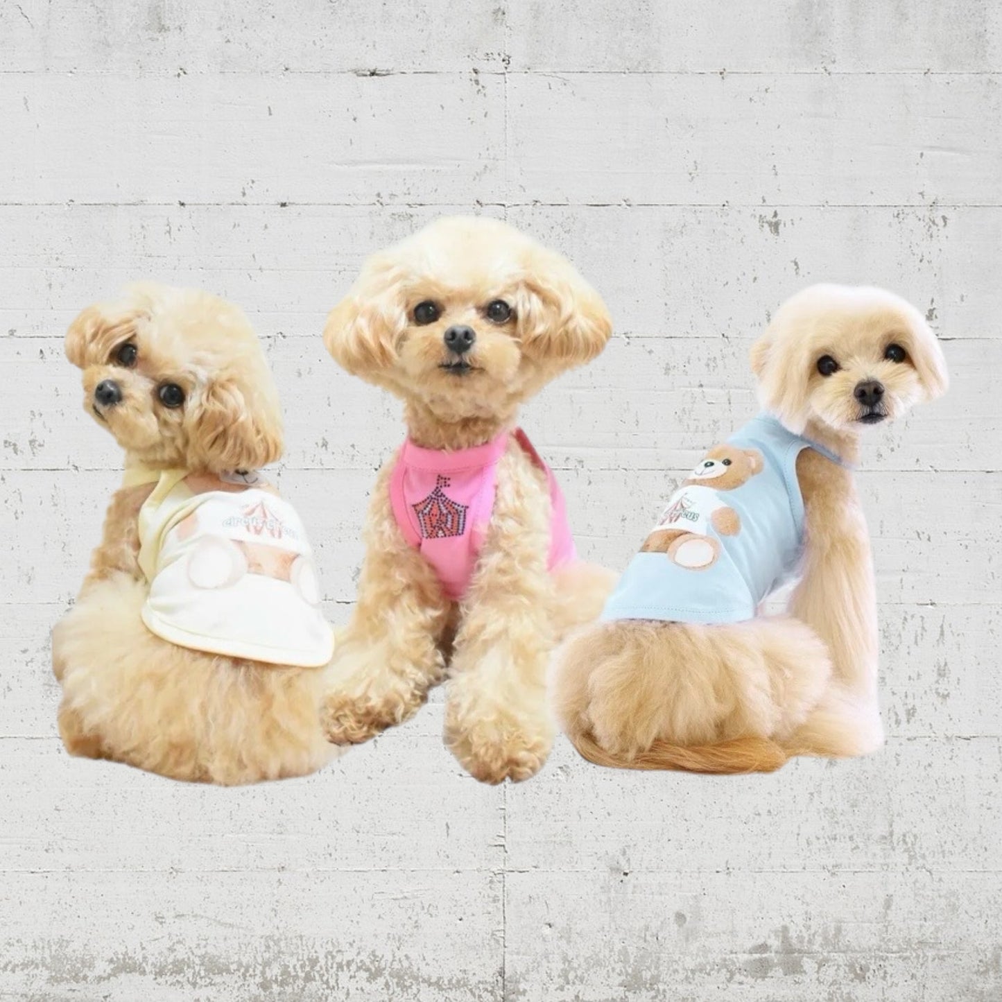 トイベアぬいぐるみタンク