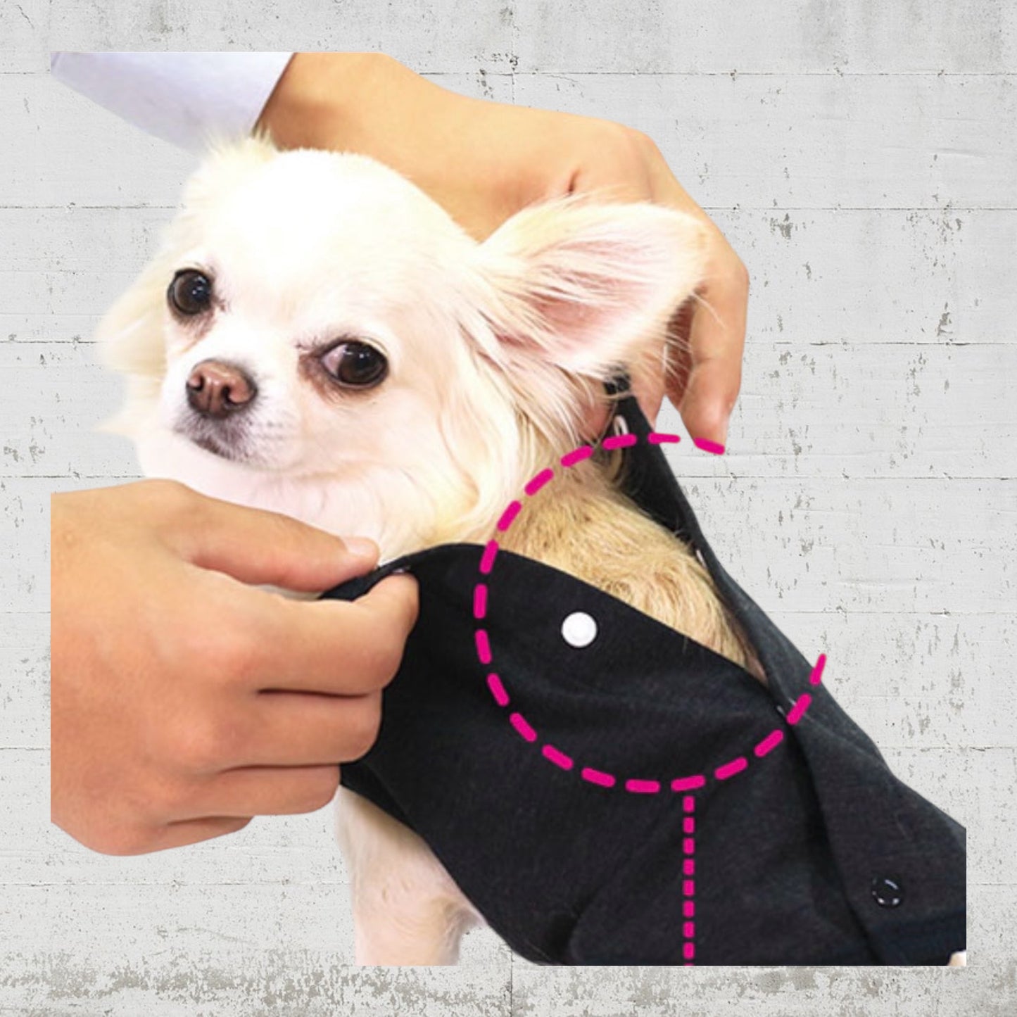 背中あきテラヘルツ ワンベルクロタンク