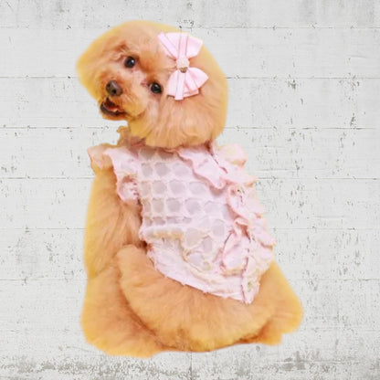 フリンジフリルブラウス