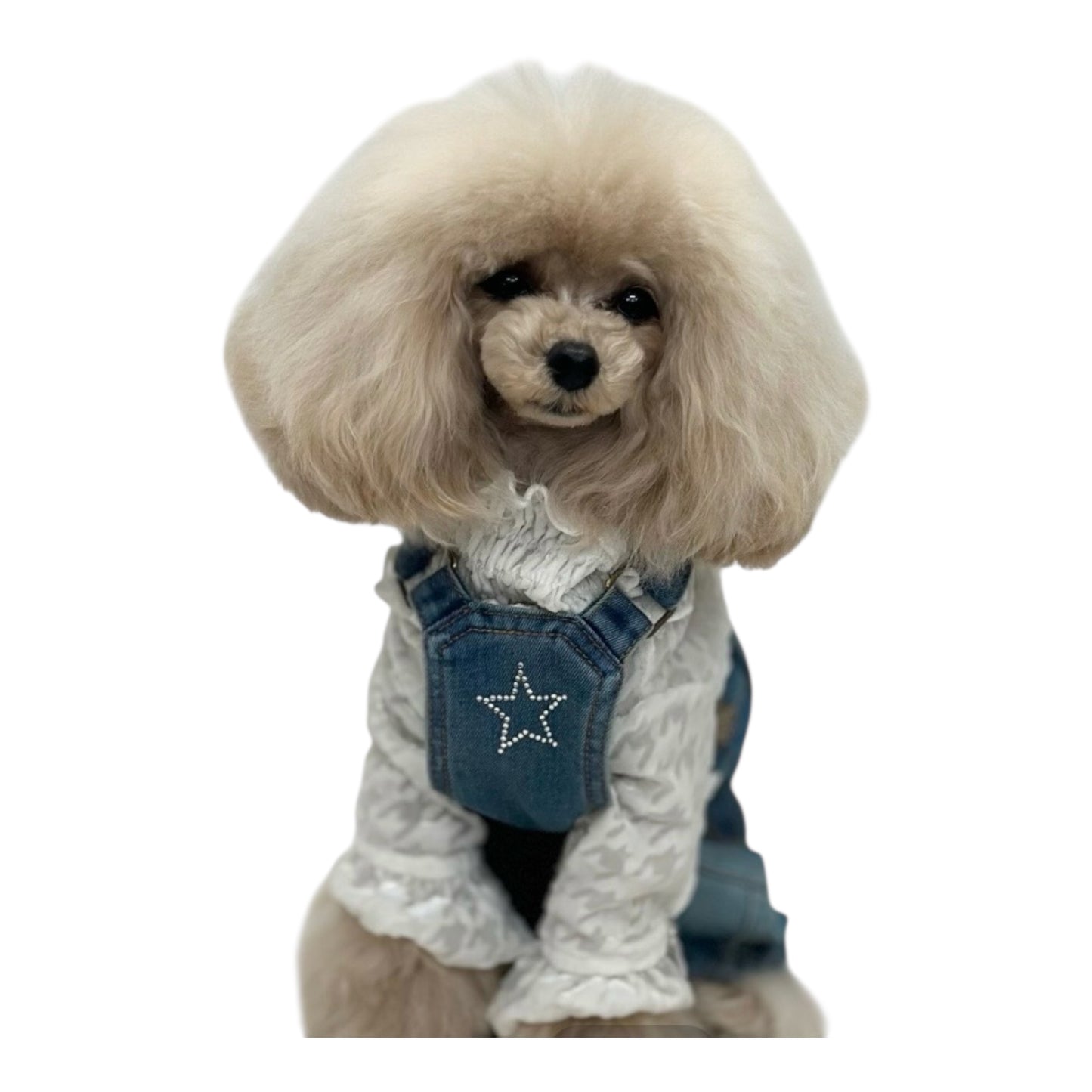 Nanala アミュレット