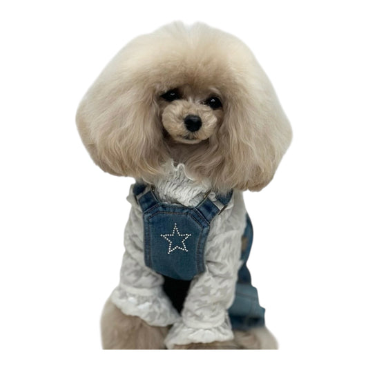 Nanala アミュレット