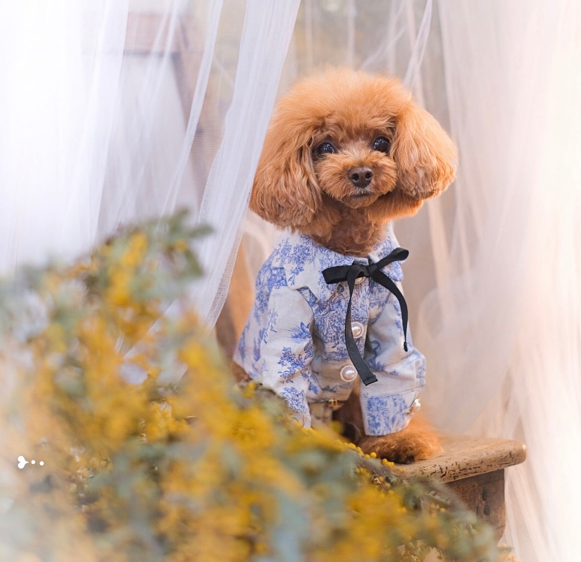 TOILE DE JOUY SHIRT