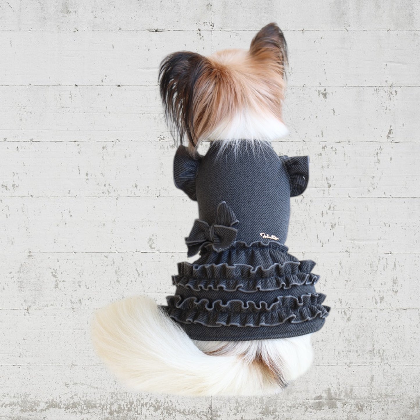 Ruffled dress coat