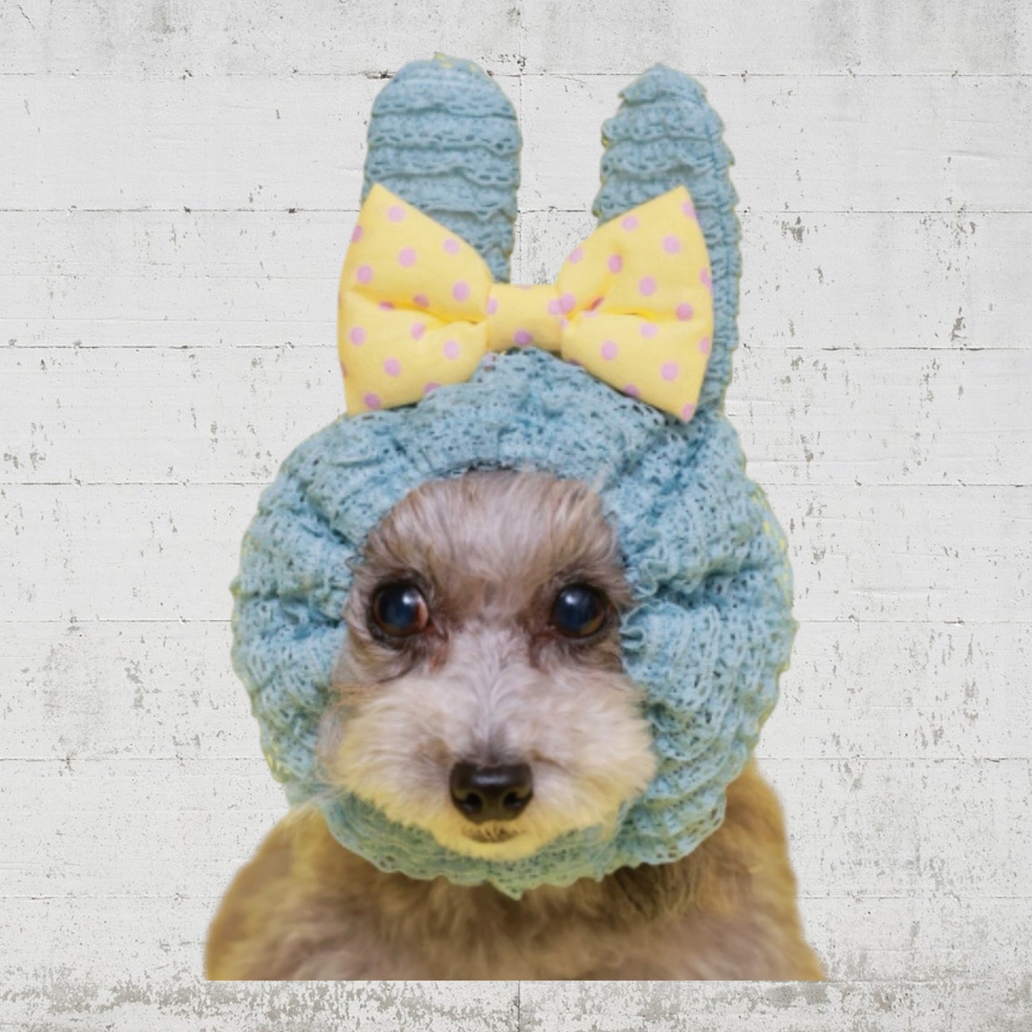 ミルフィーユアニマルスヌード