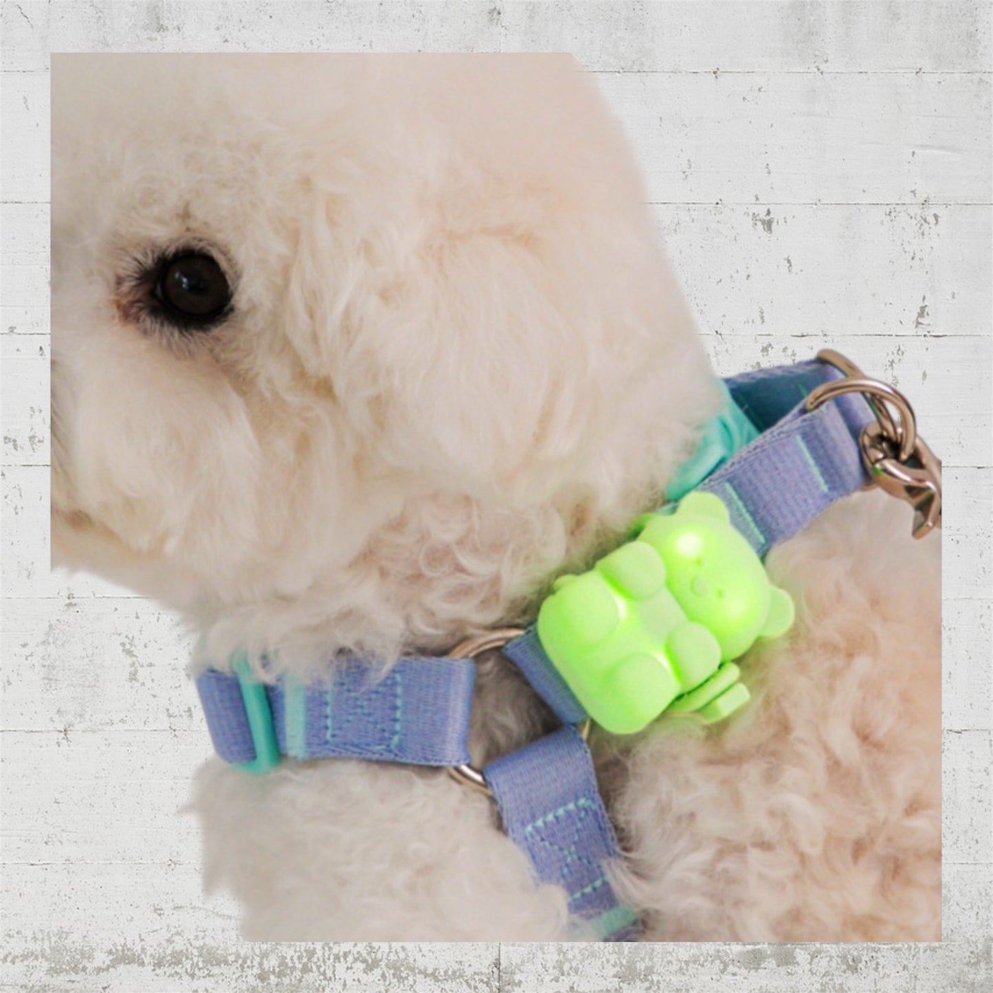 BITE ME ジェリーベアーLEDライト