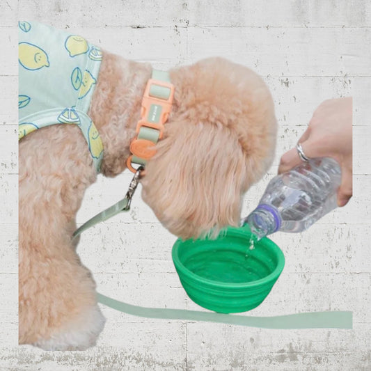 携帯折りたたみシリコンカップ