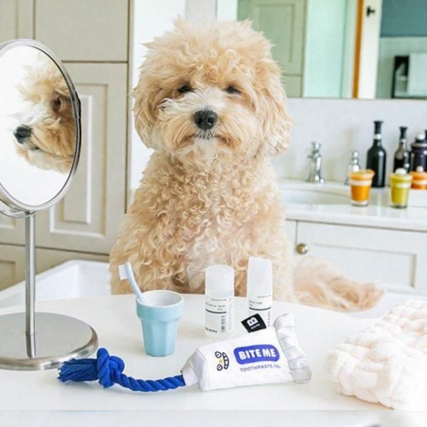 歯磨き粉ロープおもちゃ