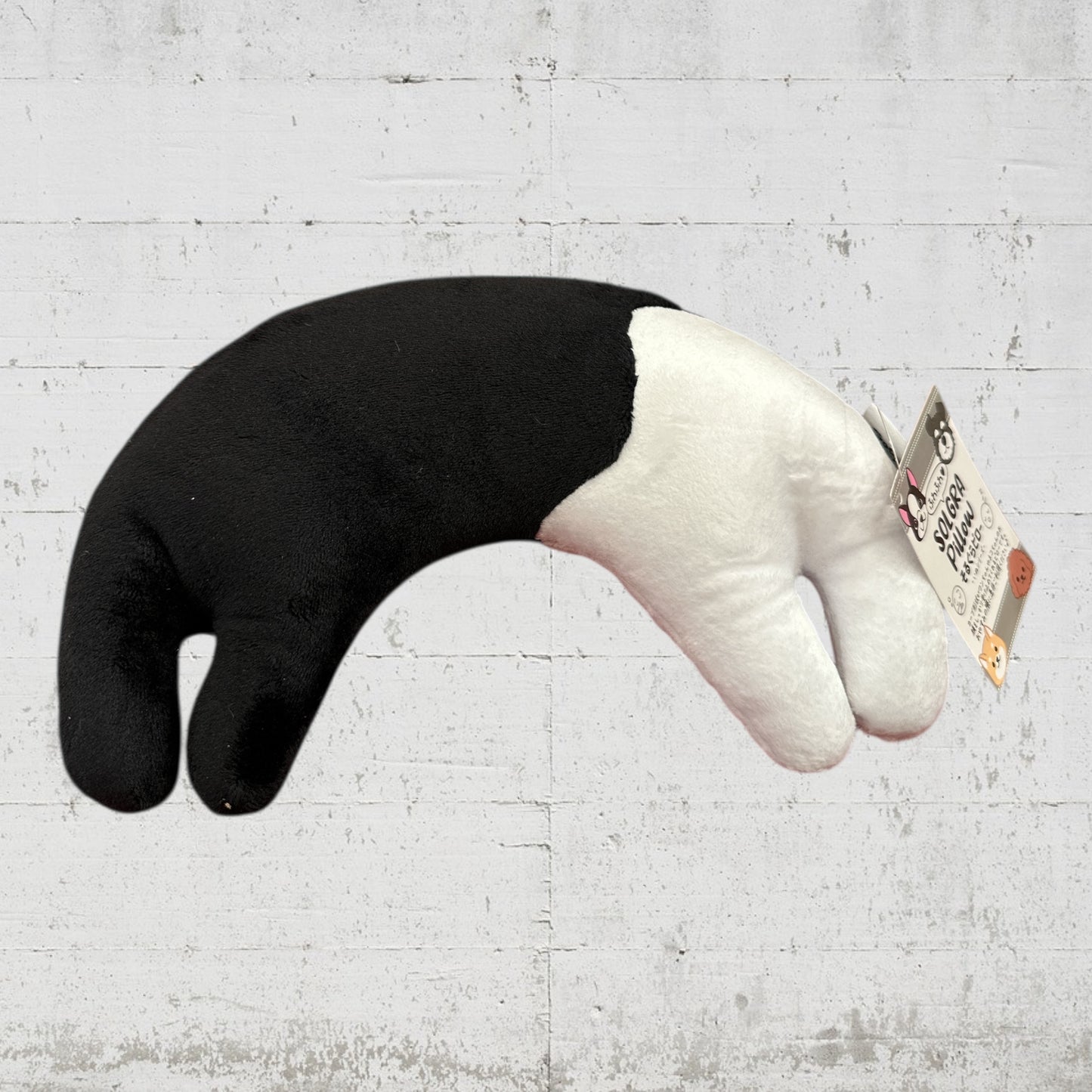 ボストンテリアピロー