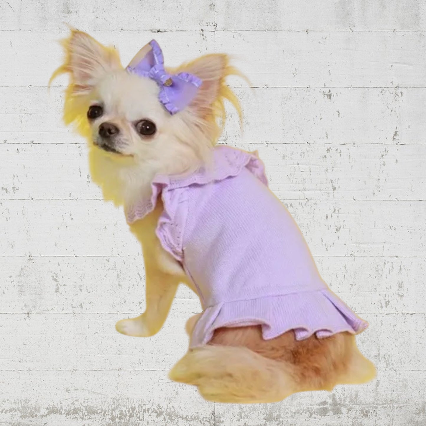 オーガニックコットン スカラップワンピース