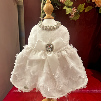 ブランシュビジュー　おリボンプレゼント🎁