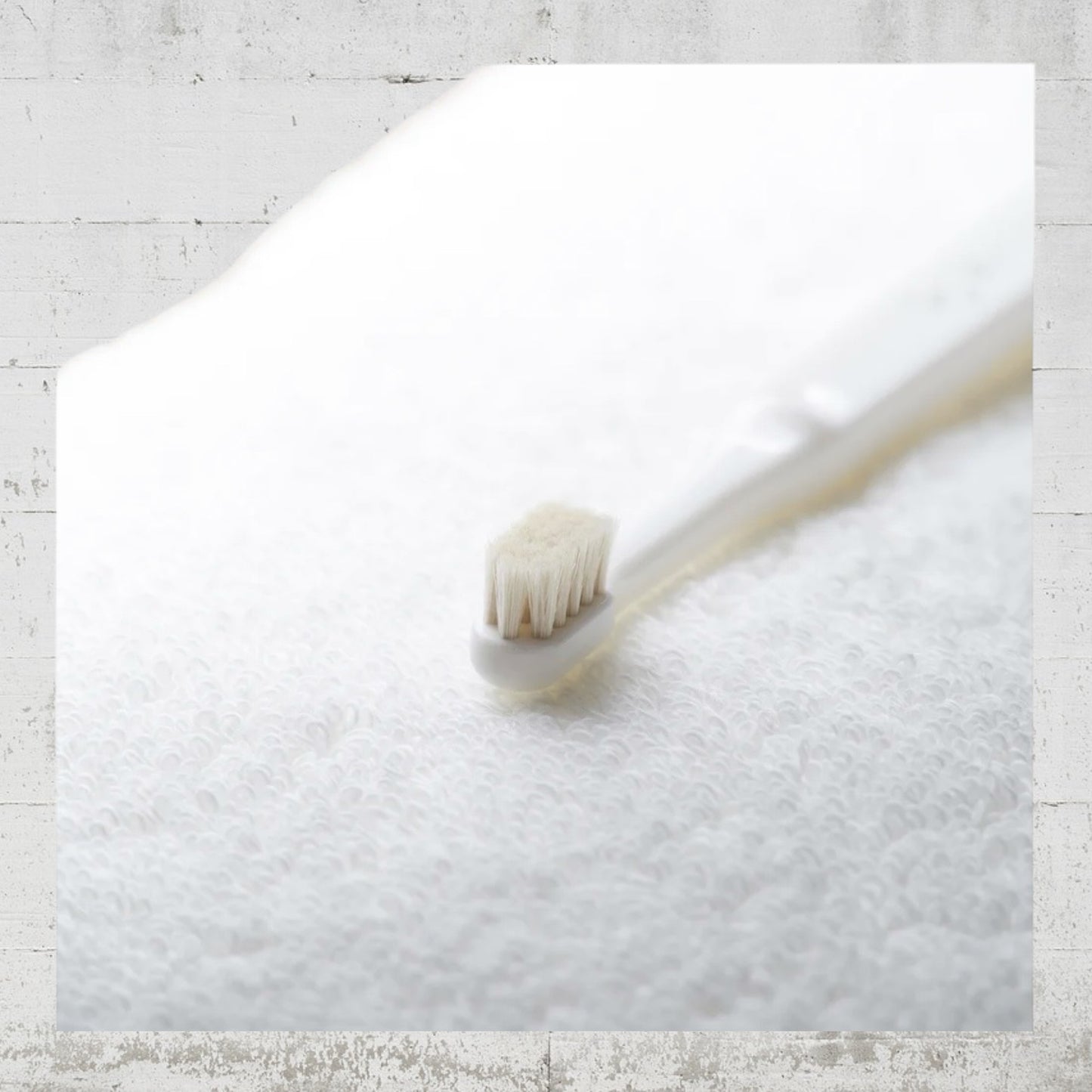 MIGAKENDE 歯ブラシ