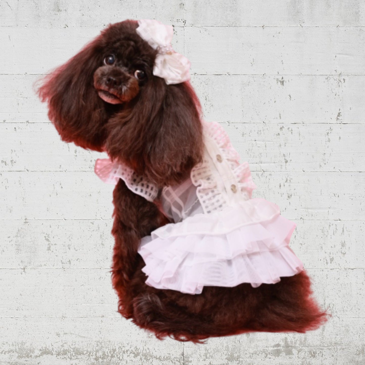 モノトーンフリルチェックワンピ