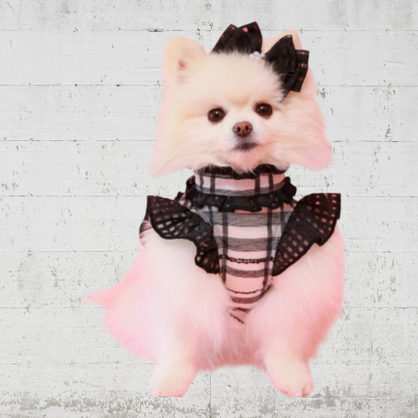 モノトーンフリルチェックブラウス