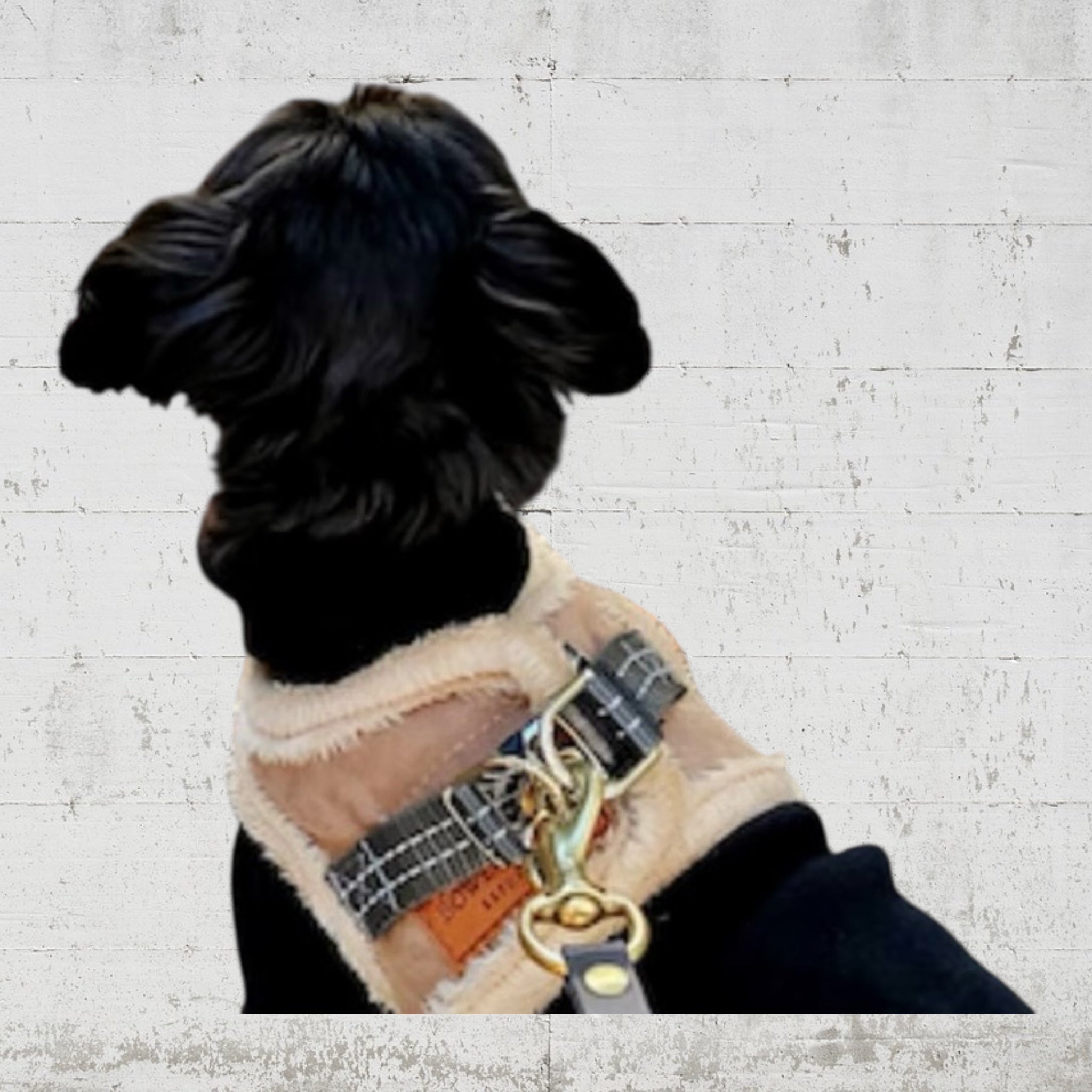 Bowl&Bone ハーネス リード セット BBR FUWA 犬 小型犬 [BBR] モフモフ