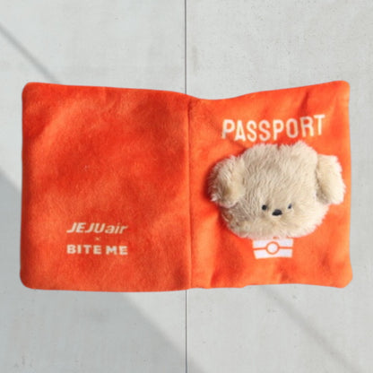 パスポート&チケット