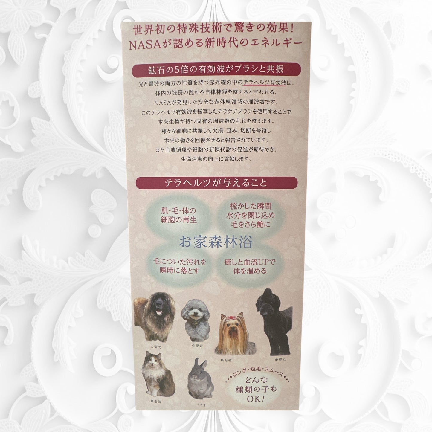 ハイパーテラヘルツ波転写ブラシ