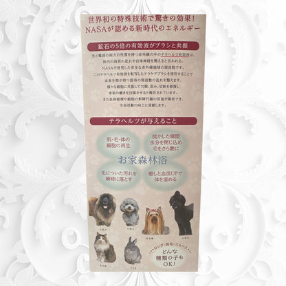 ハイパーテラヘルツ波転写ブラシ