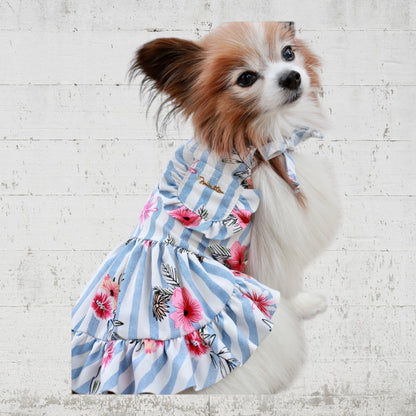 Floral striped dress