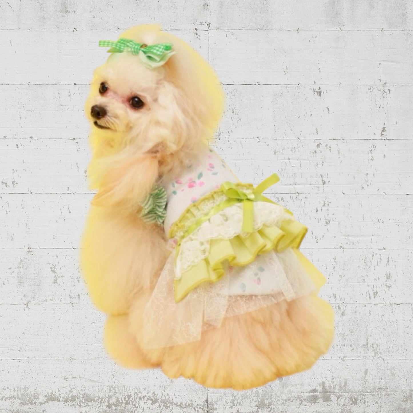 クールガーデンフラワータンク