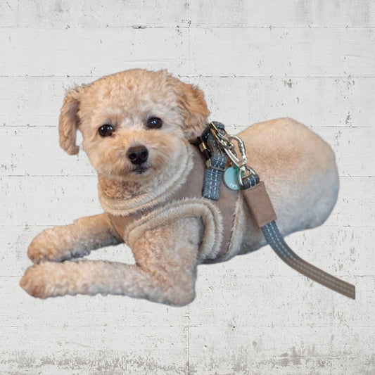 ＢＯＷＬ＆ＢＯＮＥ　もふもふハーネス