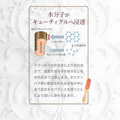 ハイパーテラヘルツ波転写ブラシ