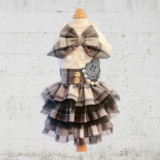 学園ワンピース