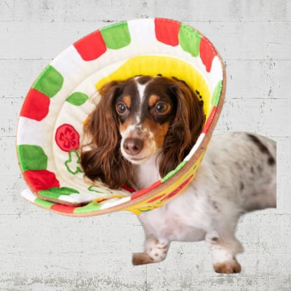 ピザ柄ペリーブカラー