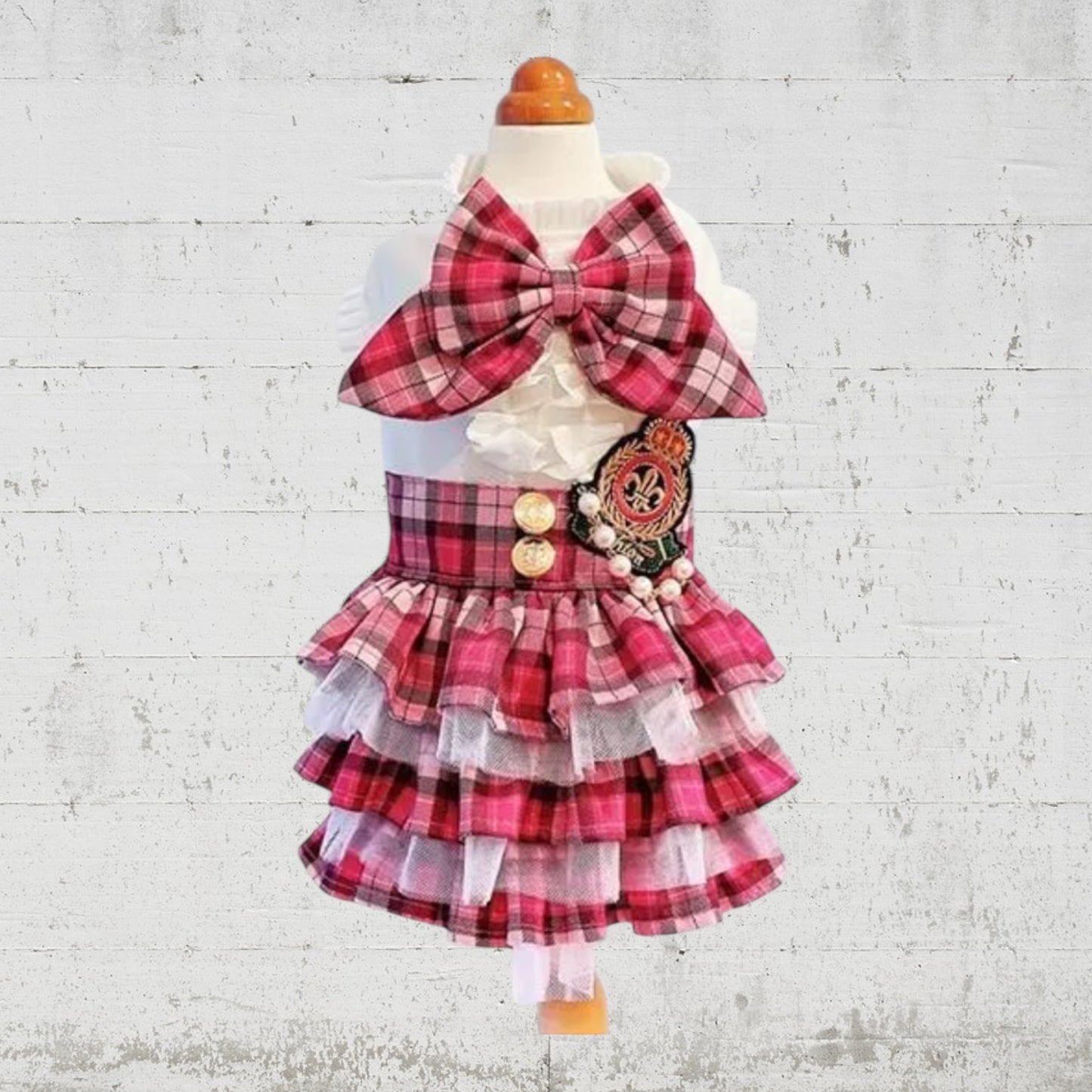 学園ワンピース