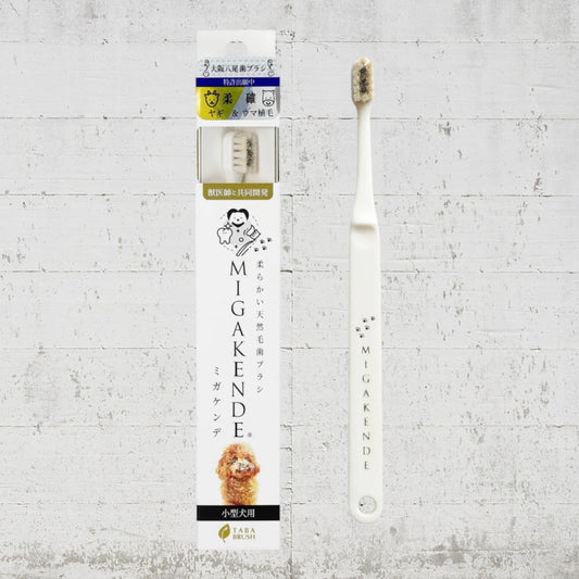 MIGAKENDE 歯ブラシ