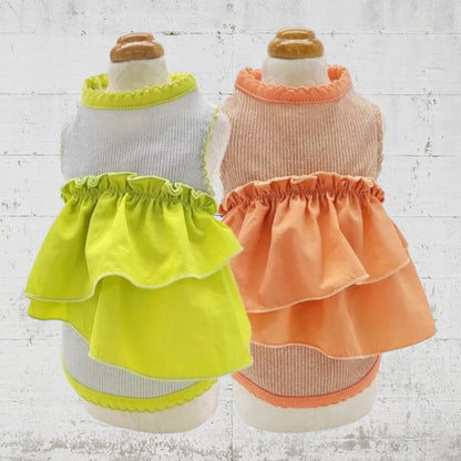 スプリングラッキータンク