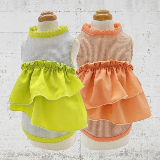 スプリングラッキータンク