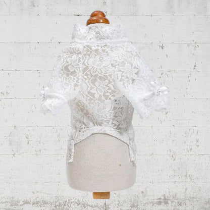 レースインナー