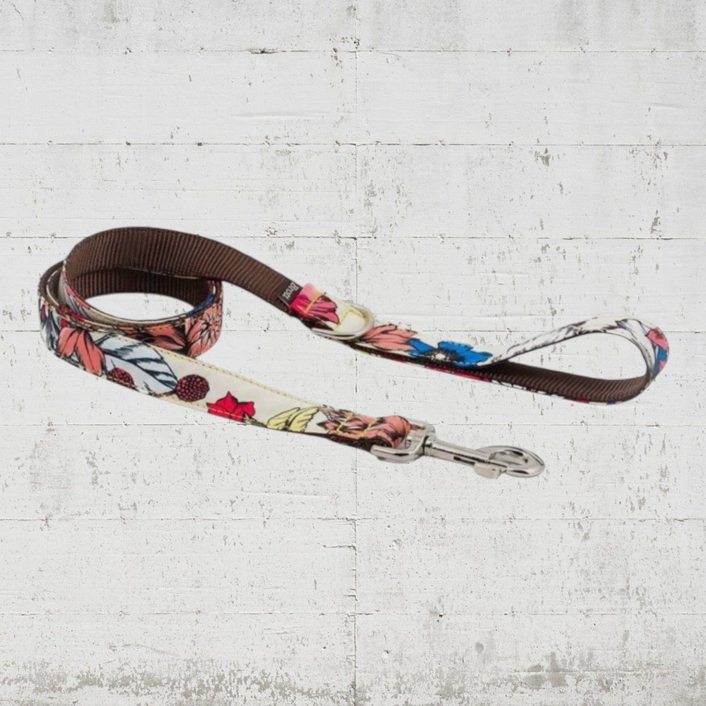 Ｂrott　ベラドンナリード