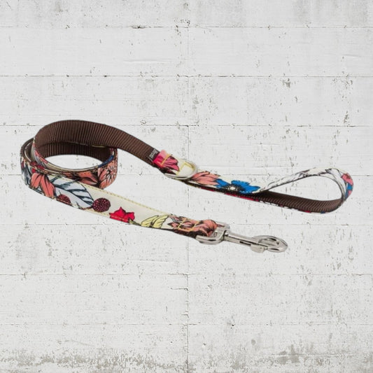 Ｂrott　ベラドンナリード