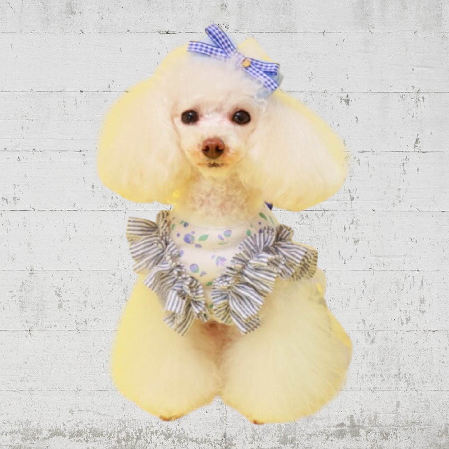 クールガーデンフラワータンク