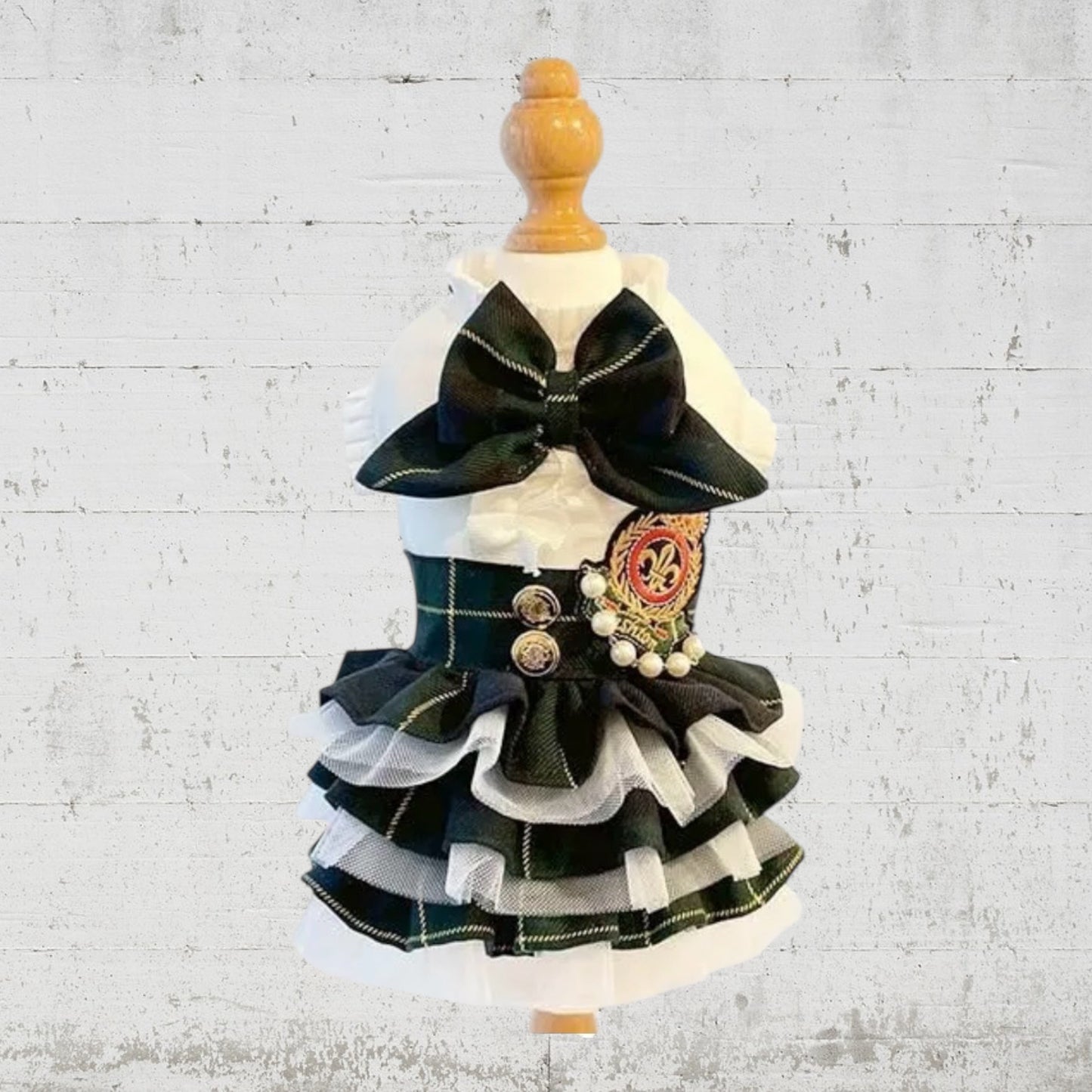 学園ワンピース