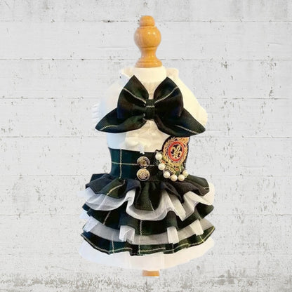 学園ワンピース