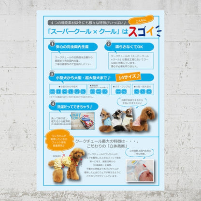 アウトレットセール！！！スーパークールクール