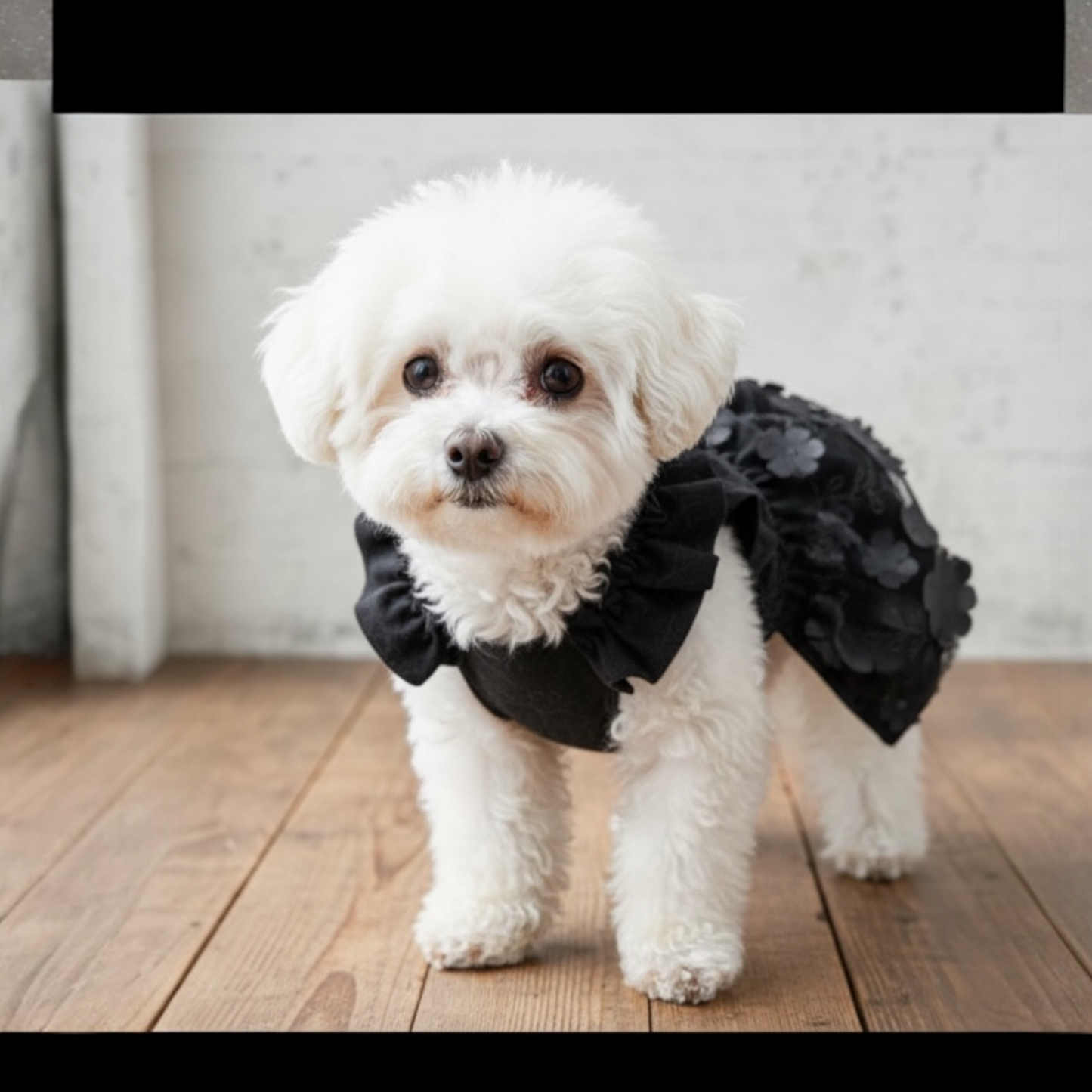 ブラックフラワーワンピ