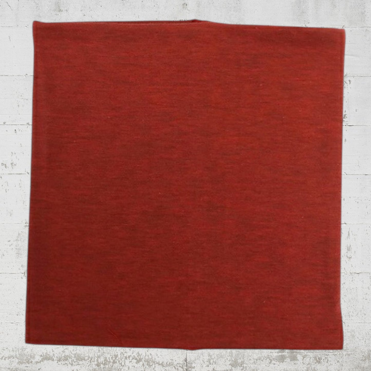 テラヘルツワン　ワンニャンテラバンド