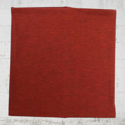 テラヘルツワン　ワンニャンテラバンド